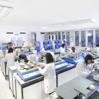 GoBlu e Centrocot uniscono le forze per promuovere la trasparenza chimica nell'industria tessile e della moda italiana