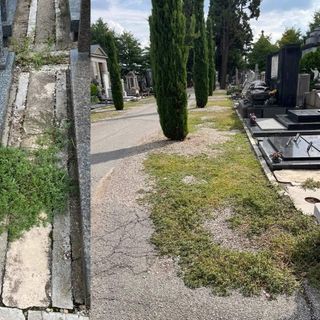 La protesta per lo stato del cimitero di Busto: «Totale noncuranza»