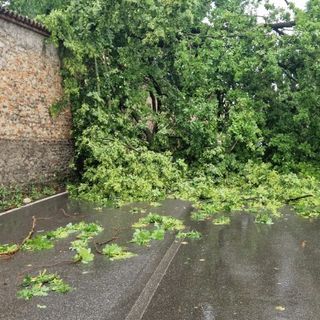 foto dalla pagina del Comune di Cesano Maderno