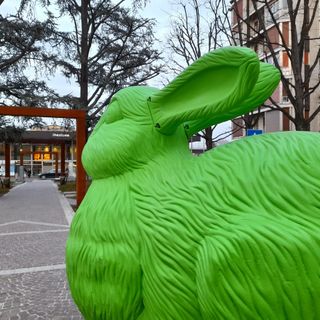Il coniglio di piazza Giovanni XXIII - Le foto delle altre installazioni e della presentazione in fondo all'articolo