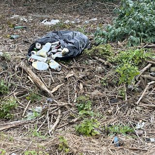 Basta pneumatici, ma gli incivili non mollano la presa