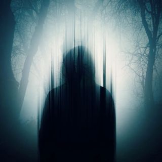 A Gorla Maggiore una figura misteriosa corre via nell’oscurità