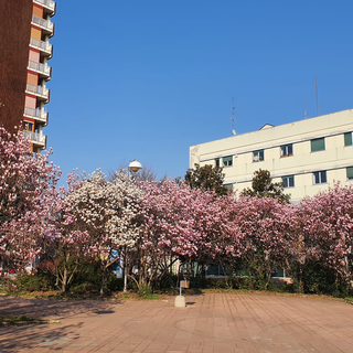 Piazzale Facchinetti