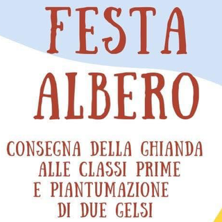 Gli alunni di Olgiate con il pollice verde