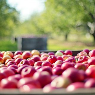 Mercatini occasionali ed eventi di street food: pubblicato l’avviso per raccogliere le manifestazioni di interesse degli operatori
