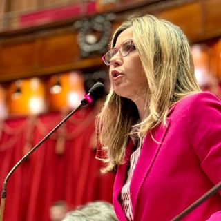 Codice strada, Gadda: «Il no del governo al fondo per strisce blu disabili è un errore»