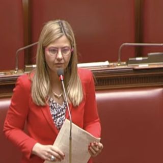 Dl Campi Flegrei, Gadda: «Primo passo ma mancano risorse»