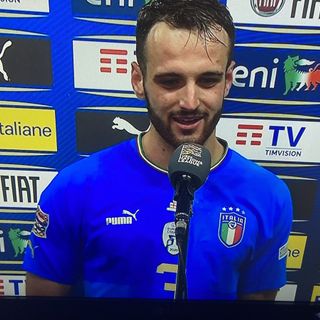foto di archivio - Gatti con la maglia nazionale