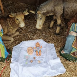 Le statuine dei parrocchiani di Borsano al posto del Gesù bambino rubato dal presepe