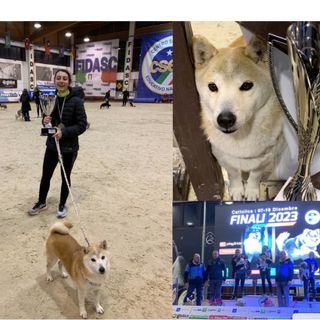 Giulia e Yumi, un legame speciale: così il titolo nazionale di agility arriva a Busto