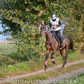 La campionessa di endurance Letizia Milani fa volare Busto negli Emirati Arabi