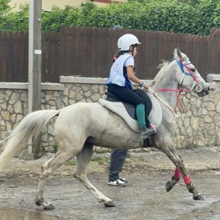 Ancora successi nell’endurance equestre per la Scuderia Esse Ci