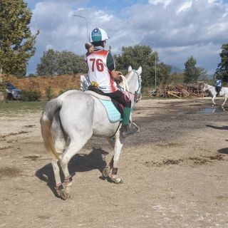 La Scuderia Esse Ci alla Coppa delle Regioni di endurance, tra grandi soddisfazioni e un po’ di sfortuna