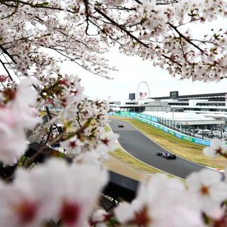 (Foto ufficiale F1)