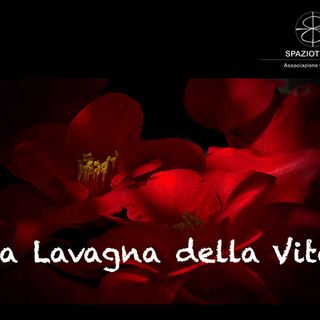 La “Lavagna della vita” è on line