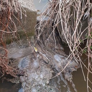 «Arnetta, c'era una volta un torrente». Le foto di un lettore documentano inquinamento e abbandono