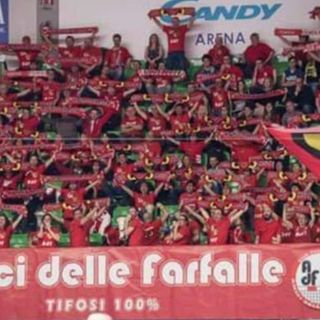 Gli Amici delle Farfalle
