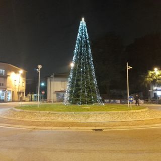 L'albero acceso in serata a Cassano