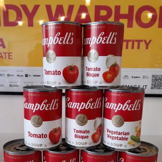 Warhol al Maga di Gallarate, tra cinema, televisione e… San Valentino