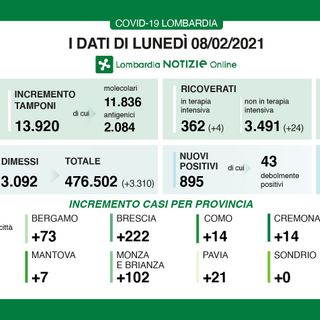 Coronavirus, in provincia di Varese oggi 31 contagi. In Lombardia 895 casi e 51 vittime