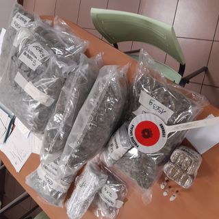 Ancora droga sequestrata dalla polizia locale di Legnano