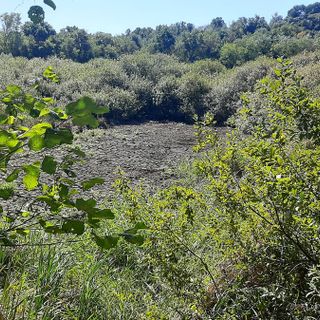 Scorcio dei fontanili, in piena siccità