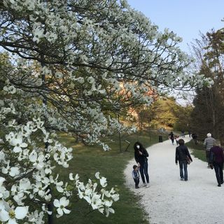 La Lombardia da oggi in zona gialla: ecco cosa cambia per spostamenti, bar, ristoranti e visite a parenti e amici
