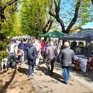 Gazebo e visitatori in viale Rimembranze