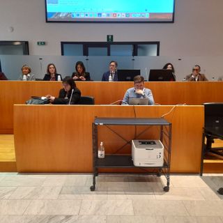 Progetto &quot;Includi&quot;, punto della situazione in sala consiliare, a palazzo Broletto, Gallarate