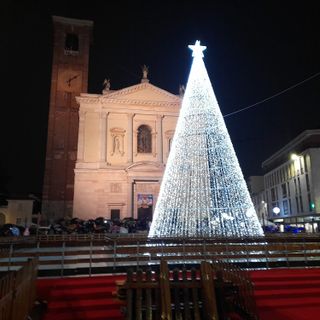 L'albero in piazza Libertà