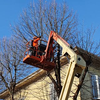 Busto, un milione di euro per la manutenzione di alberi e verde