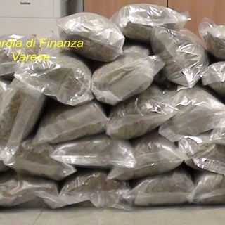 Maxi giro di droga scoperto dalla Finanza: i soldi venivano riciclati tramite società. Tre persone indagate