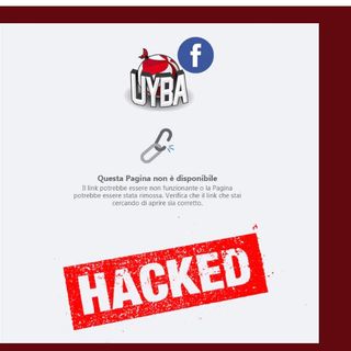 Gli hacker attaccano le farfalle: «Ma noi torneremo su Facebook, siamo più forti»