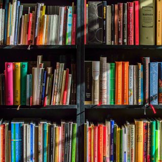 Busto, nuovo portale della Rete Bibliotecaria Provinciale