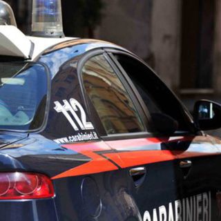 Rapina pistola in pugno al Maxi Zoo di Gallarate: preso un bandito, è recidivo