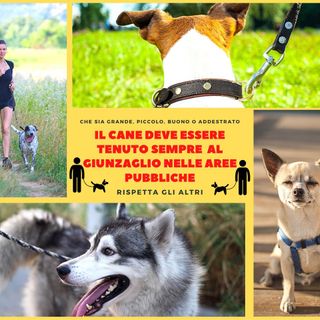 I cartelli posizionati dall'amministrazione in più zone di Olgiate