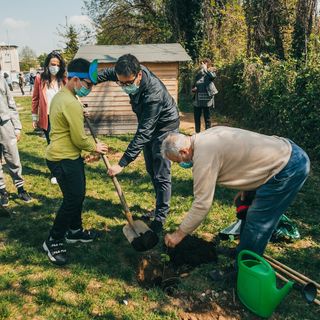 Giornata della Terra, il sindaco di Gallarate pianta dei gelsi con i bambini Giornata della Terra, il sindaco di Gallarate pianta dei gelsi con i bambini