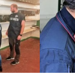 Detenzione di uccelli selvatici, blitz dei Carabinieri Forestali a Somma: controllati 5 allevatori, 61 esemplari sotto esame