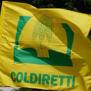 Fattorie sociali: dai campi il “welfare verde”,  nuovo esempio di sviluppo socioeconomico