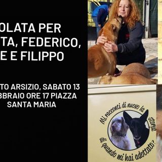 Busto, una fiaccolata in piazza Santa Maria per le staffette dei cuccioli