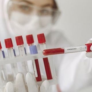 Coronavirus, i dati di lunedì 17 maggio. In provincia 186 casi: Varese +17, Busto +15, Gallarate +4, Saronno +7, Luino +3