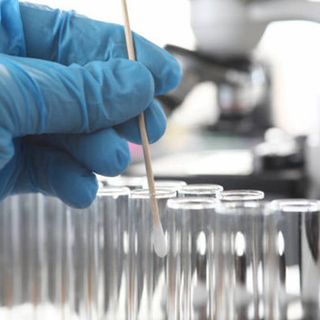 Coronavirus, il punto in provincia: Varese +32, Busto +36, Gallarate +18, Saronno +17