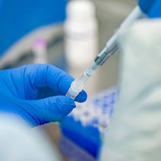 Covid-19, in Italia oggi 13.762 nuovi contagi e 347 vittime. In risalita Lombardia, Emilia e Veneto