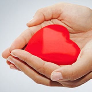Plasma «prezioso più dell'oro»: il messaggio e il ringraziamento dei donatori Avis di Fagnano Olona