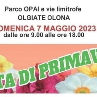 Prima la musica, poi i giochi di ogni epoca: a Olgiate è Festa di Primavera