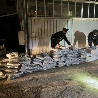 VIDEO. Maxi sequestro di droga messo a segno dai carabinieri di Varese: nel rimorchio sotto il trattore spuntano 220 chili di hashish e marijuana