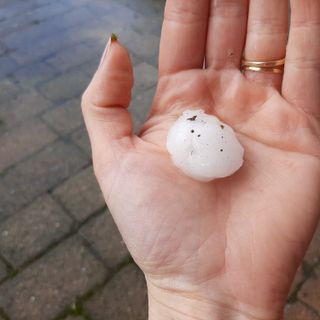 Intensa grandinata a Cavaria con Premezzo Intensa grandinata a Cavaria con Premezzo