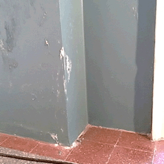 Umidità in casa: come riconoscere i principali problemi?