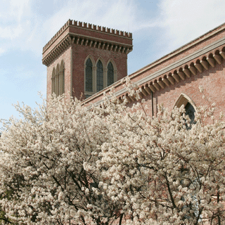 Un weekend di iniziative per famiglie ai musei civici di Busto