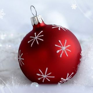 Festa di Natale per il “Piccolo Principe” e Onlus Carolina